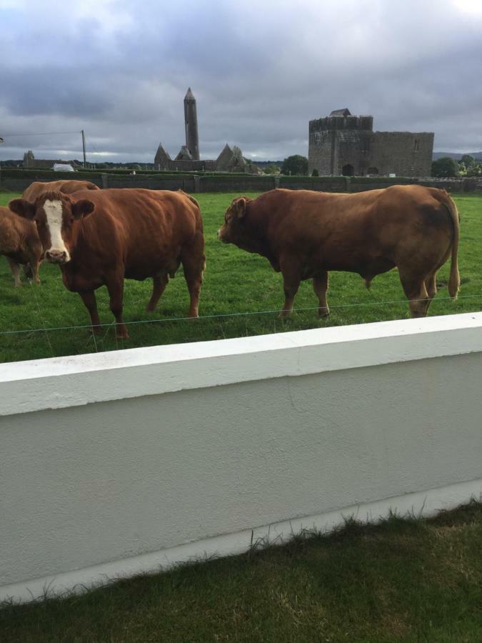 Naomh Colman B&B Gort Bagian luar foto